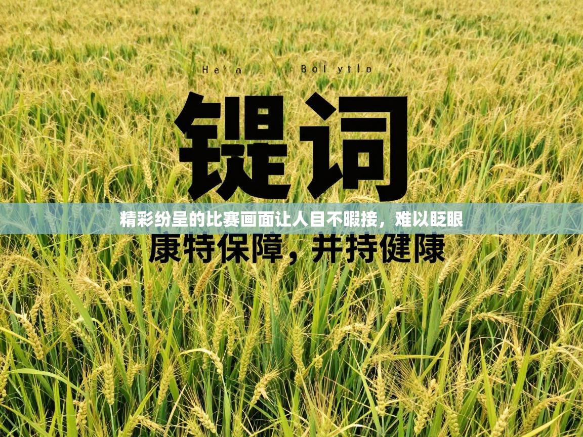 精彩纷呈的比赛画面让人目不暇接，难以眨眼  第1张