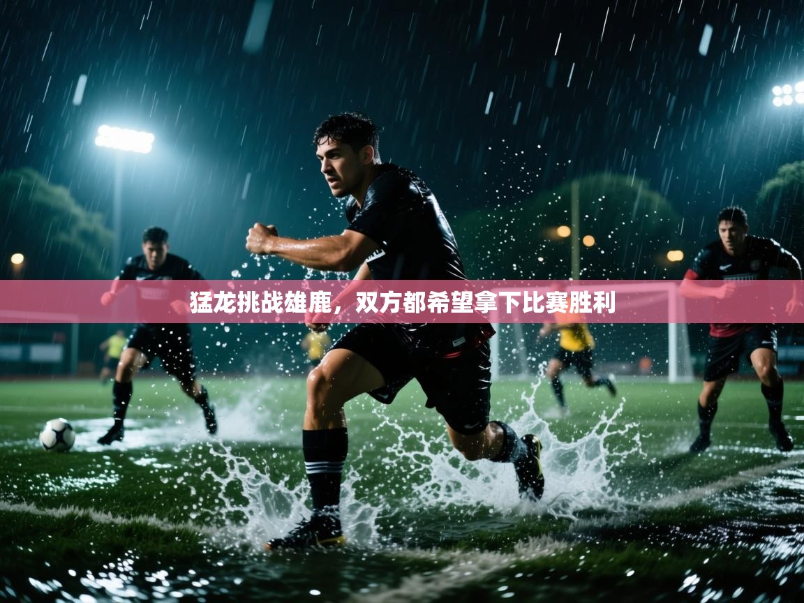猛龙挑战雄鹿，双方都希望拿下比赛胜利  第1张